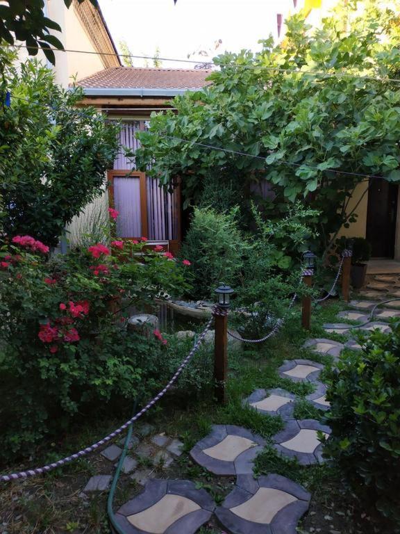 Sim-Sim Hostel & Backpackers Samarkand Esterno foto