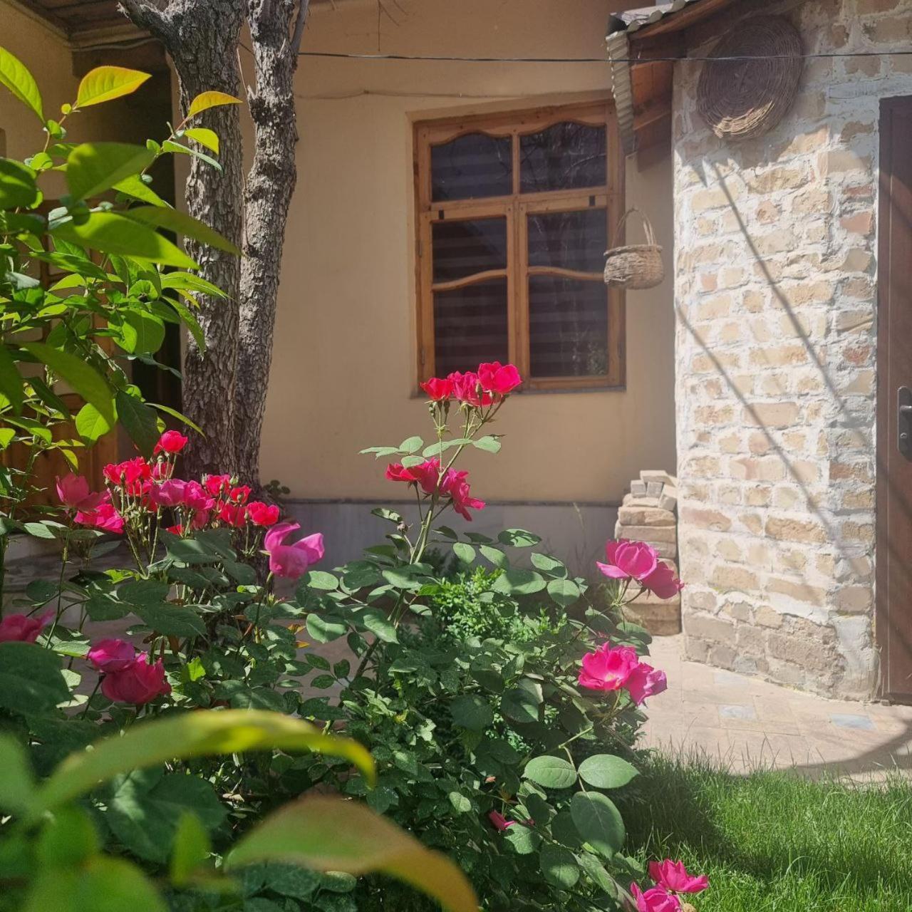 Sim-Sim Hostel & Backpackers Samarkand Esterno foto