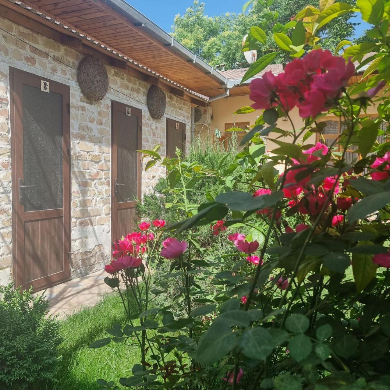 Sim-Sim Hostel & Backpackers Samarkand Esterno foto